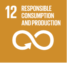 UN systainable goal - Responsible consumption and Production