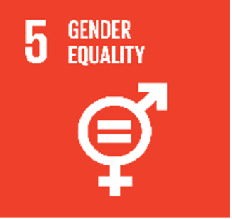 UN systainable goal - Gender Equality